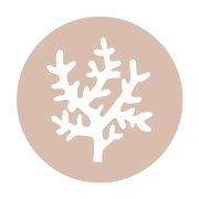 vandaya.com logo