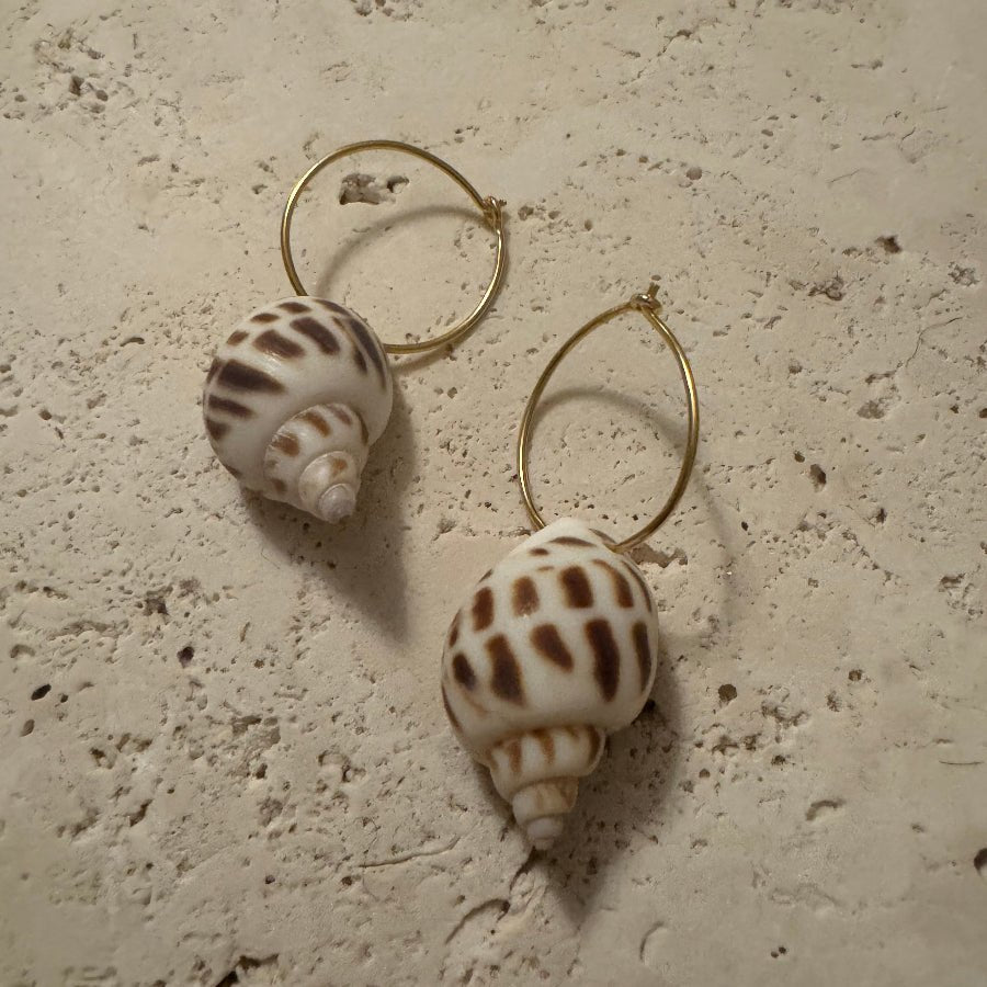 Sea Shell Hoops - Vandaya